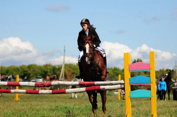 Paardenrennen — Stockfoto