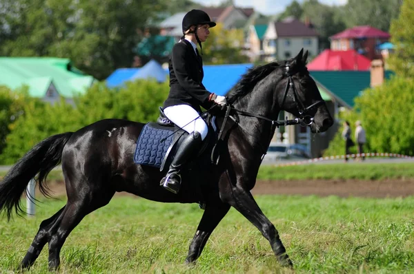 Carreras de caballos — Foto de Stock