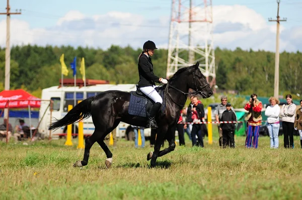 Corrida de cavalos — Fotografia de Stock