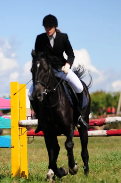 Corrida de cavalos — Fotografia de Stock