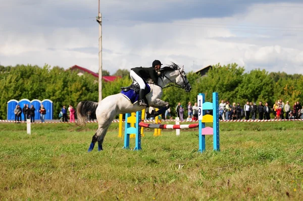 Carreras de caballos — Foto de Stock