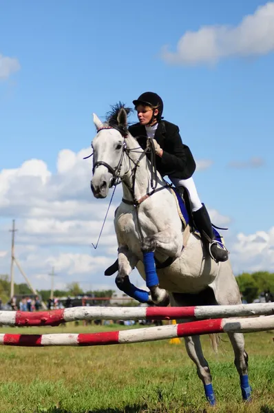 Paardenrennen — Stockfoto