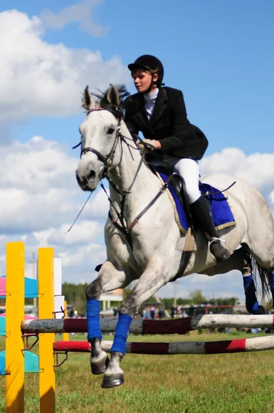 Paardenrennen — Stockfoto