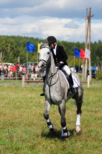 Carreras de caballos — Foto de Stock