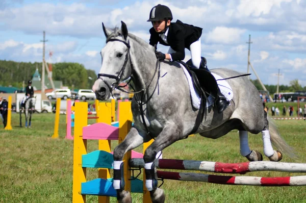 Paardenrennen — Stockfoto