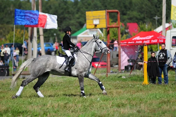 Carreras de caballos — Foto de Stock