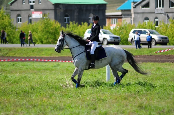 Carreras de caballos —  Fotos de Stock