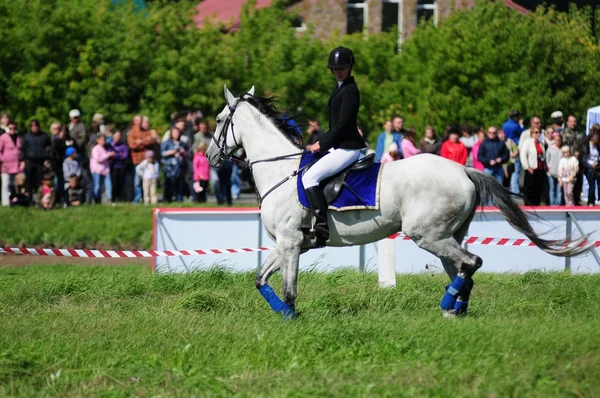 Course de chevaux — Photo