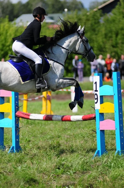 Course de chevaux — Photo