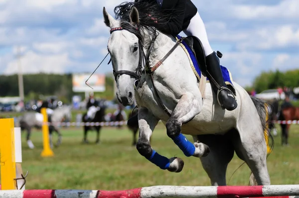 Corrida de cavalos — Fotografia de Stock