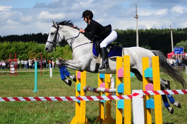 Carreras de caballos — Foto de Stock