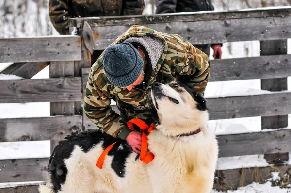 Köpek dövüşü