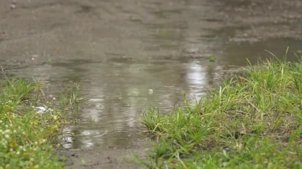 Сезон Дождей Обычно День Идёт Дождь — стоковое видео