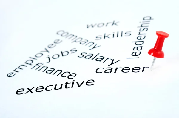 Career word — Stock Photo, Image