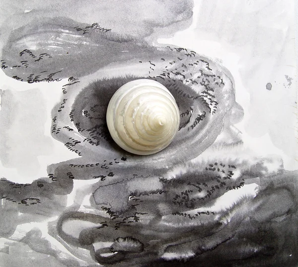 Seashell on a black and white ink drawing — Stock Photo, Image