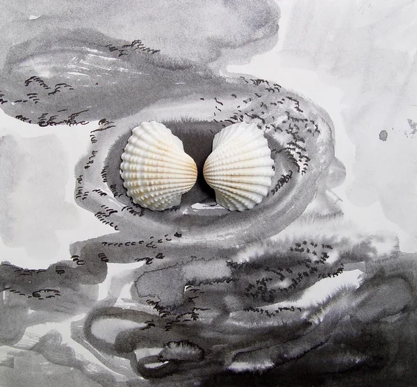 Seashell on a black and white ink drawing — Stock Photo, Image