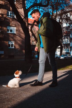 Genç adam dışarıda Jack Russell teriyerini eğitiyor. Şirin küçük köpek sahibinin emirlerini dinlerken hareketsiz duruyor.. 