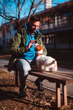 Jack Russell teriyerini parkta eğiten genç bir adam. Şirin köpekçik sahibinin emirlerini dinliyor ve ödül bekliyor.. 