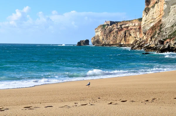 Oceano Atlântico praia durante o inverno — Fotografia de Stock