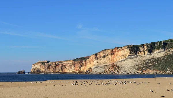 Océan Atlantique plage Nazare pendant l'hiver Photos De Stock Libres De Droits