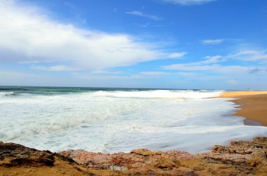 Atlantic coast