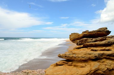 Atlantic coast