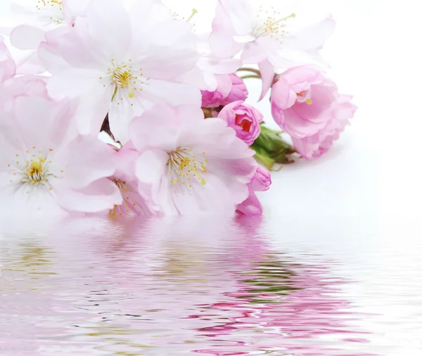 Ροζ λουλούδι Εικόνα Αρχείου