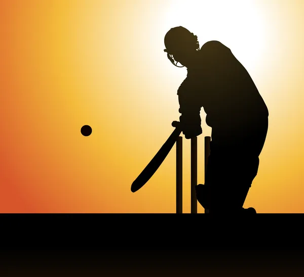 Joueur de cricket — Image vectorielle