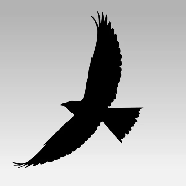Pássaro negro — Vetor de Stock