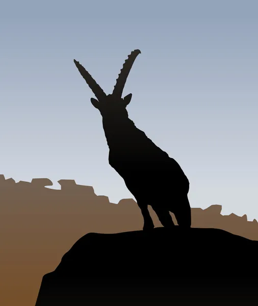 Ibex. — Vetor de Stock