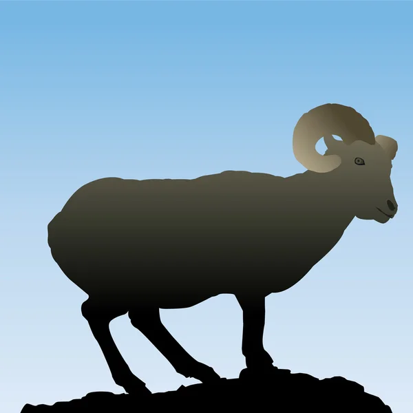 Ibex. — Vetor de Stock