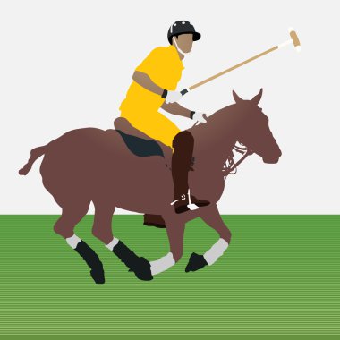 polo oyuncusu