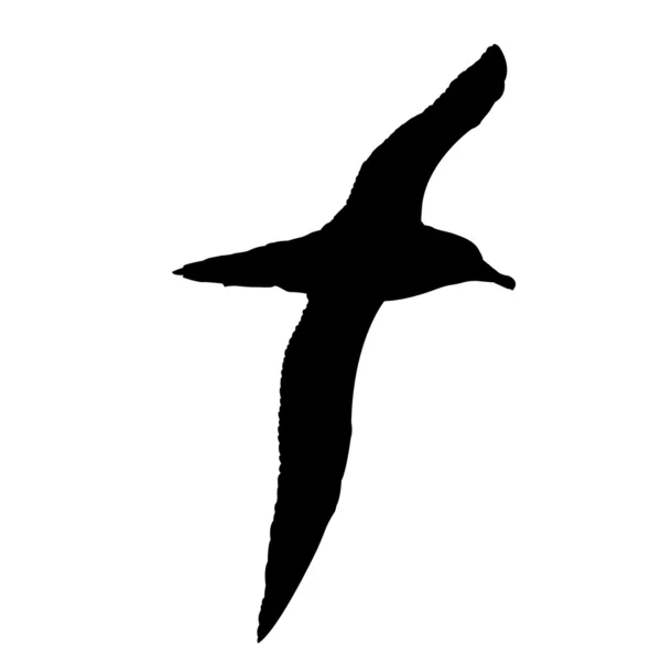 Sea gull — стоковий вектор