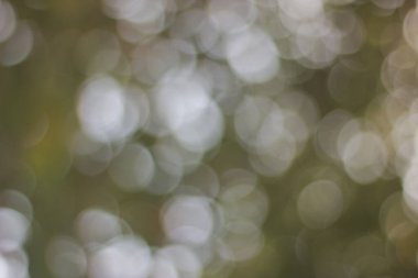 Tam yeşil, sarı ve gri arkaplan ile ışık bokeh görünümü soyut