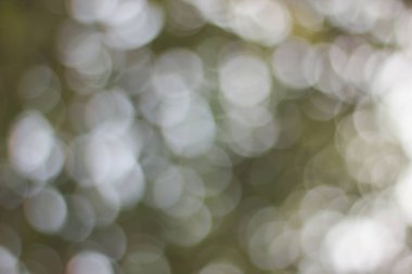 Tam yeşil, sarı ve gri arkaplan ile ışık bokeh görünümü soyut