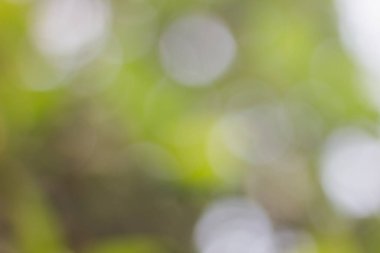 Tam yeşil, sarı ve gri arkaplan ile ışık bokeh görünümü soyut