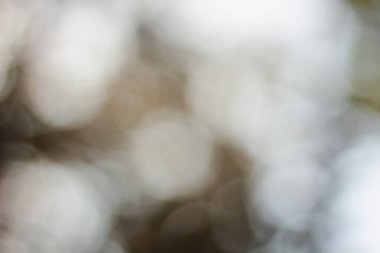 Tam yeşil, sarı ve gri arkaplan ile ışık bokeh görünümü soyut