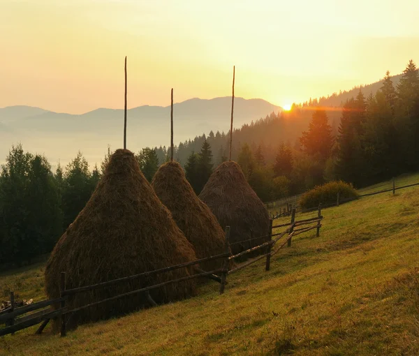 Heuhaufen — Stockfoto