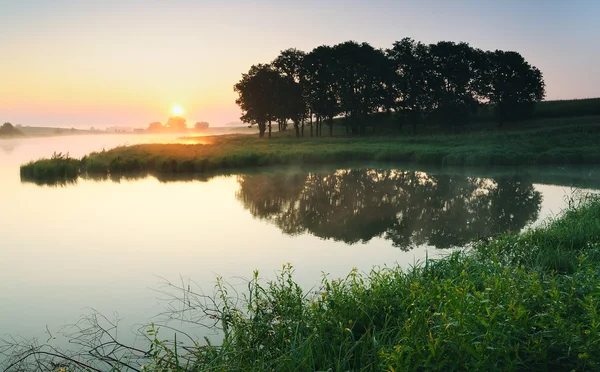 Morning — Stock Photo, Image