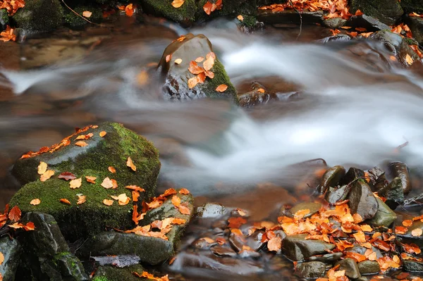 Creek. —  Fotos de Stock