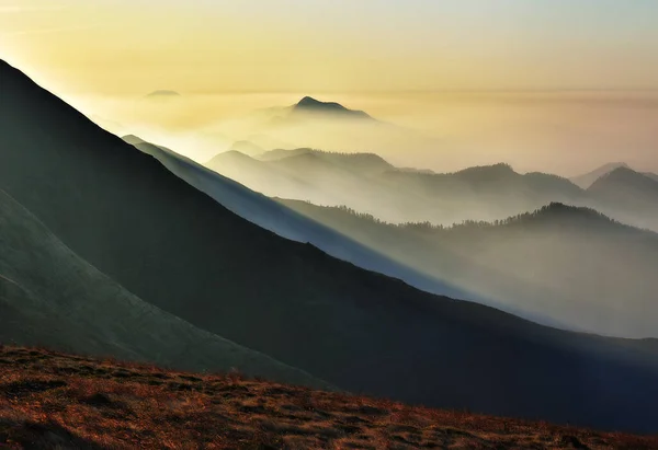 Prima Dell Alba Negli Altopiani Silhouette Montagna Nella Nebbia — Foto Stock