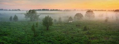 Nehir kıyısında güzel bir bahar gündoğumu. Sabah sisi