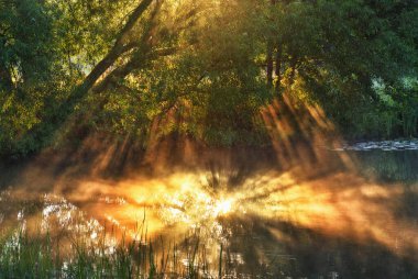 Beautiful spring sunrise over river banks. the sun's rays break through the mist