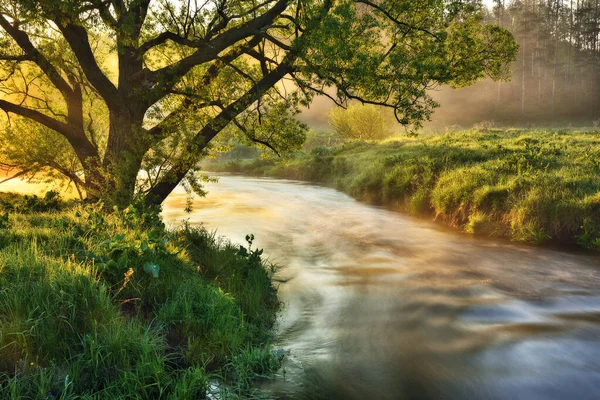 Beautiful Spring Sunrise River Banks Sun Rays Break Mist — Zdjęcie stockowe