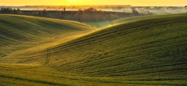美しい緑の丘とパノラマの風景 抽象的な風景 ウクライナの自然 — ストック写真