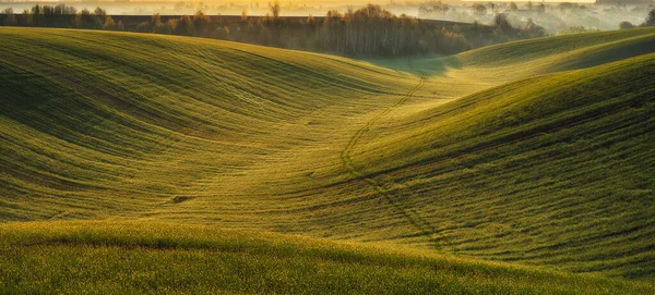 美しい緑の丘とパノラマの風景 抽象的な風景 ウクライナの自然 — ストック写真