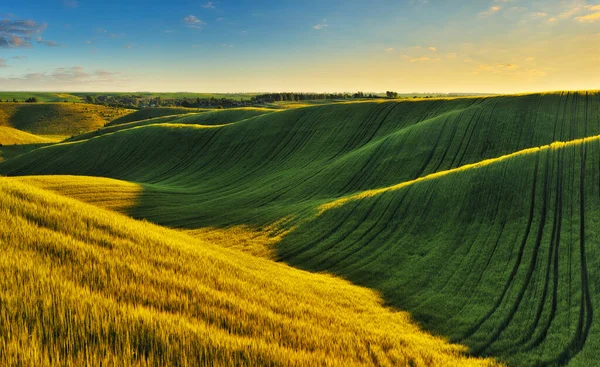 Panorámás Táj Gyönyörű Zöld Dombokkal Absztrakt Táj Ukrajna Jellege — Stock Fotó