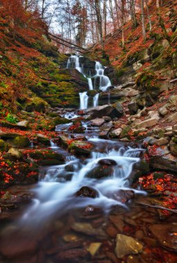 Sonbahar ormanında güzel bir şelale. Ukrayna 'nın Doğası