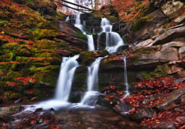 Sonbahar ormanında güzel bir şelale. Ukrayna 'nın Doğası