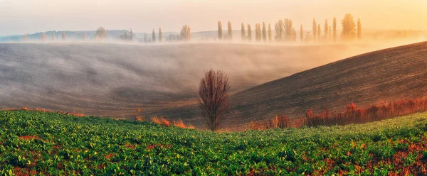 stock image rural scenic landscape. hilly field. autumn nature